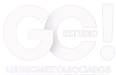 Chartered Accountant